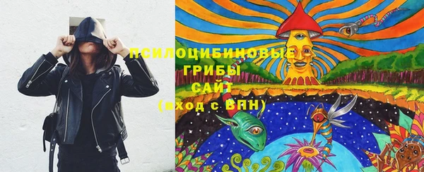 ПСИЛОЦИБИНОВЫЕ ГРИБЫ Каменск-Шахтинский