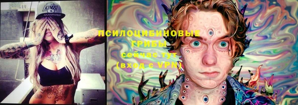 ПСИЛОЦИБИНОВЫЕ ГРИБЫ Каменск-Шахтинский