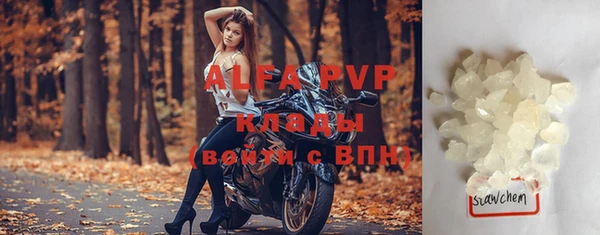 скорость Каменногорск