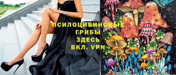 скорость Каменногорск